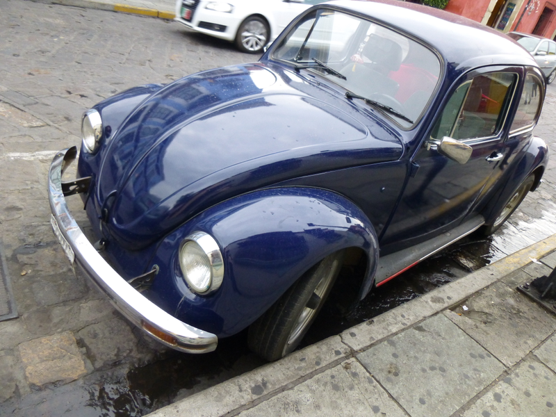 Illustration for article titled An Incomplete Survey of VWs in Oaxaca, Mexico